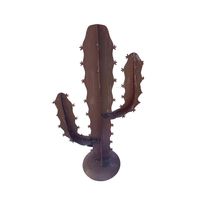 Cactus bruin S Cactus bruin S