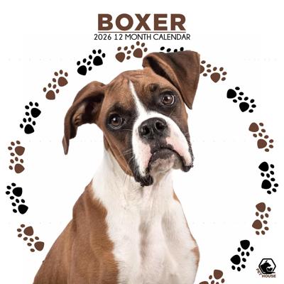 Boxer Kalender 2026
