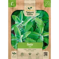 Salie echte salvia 50st