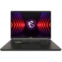 MSI Vector 17 HX A14VGG-216NL 17 Core i9 RTX 4070 Gaming Laptop