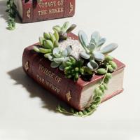 Retro literatuur boek potten multi vlees Plant Bonsai Micro-landschap Vintage boek Flower Pot Planter voor bloem succulente Cacti kruiden Plant Bed Bo
