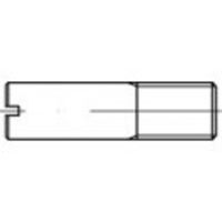 TOOLCRAFT TO-5394474 Bouten (l) 70 mm Staal Galvanisch verzinkt 10 stuk(s) - thumbnail