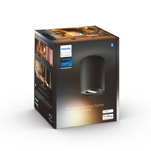 Philips Hue Pillar 1-Spot opbouwspot White Ambiance Zwart