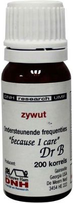 Zywut