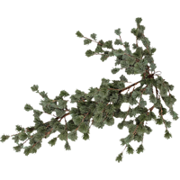 Decoratie dennentak | 91cm | 12 stuks