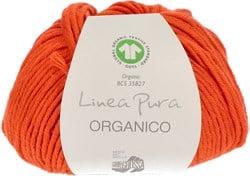 Lana Grossa Organico Uni 158 pumpkin