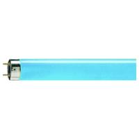 Signify Fluorescentielamp G13 36 W Staaf (Ø x l) 28 mm x 1213.6 mm 1 stuk(s)