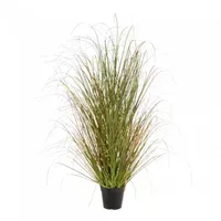 Gras h123cm rood/groen - thumbnail