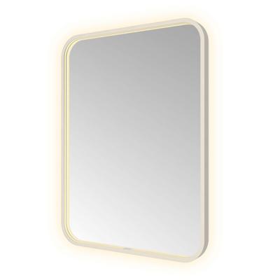 Hotbath &MORE Spiegel direct en indirect LED spiegelverwarming color changing dimbaar met afstandsbediening RVS 316 SSQ680IX