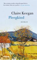 Pleegkind - Claire Keegan - ebook