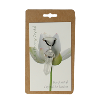 Steengoed Energiekristal bergkristal 1 Stuks