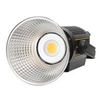 Godox VL200
