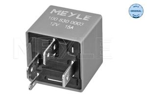 Multifunctioneel relais 1008300003