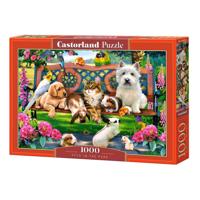 Selecta Castorland legpuzzel pets in the park, 1000st.