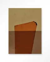 Geen soort van oranje
