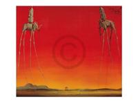 Kunstdruk Salvador Dali - Les Elephants 80x60cm