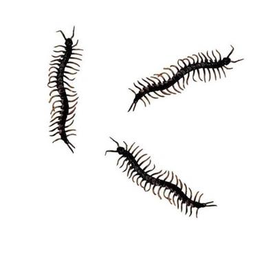 Horror decoratie nep duizendpoten - 24x stuks - zwart - 13 cm - Halloween/horror dieren insecten Horror decoratie nep duizendpoten - 24x stuks - zwart - 13 cm - Halloween/horror dieren insecten