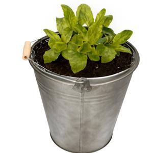 Emmer/plantenpot/bloempot - zink - donkergrijs - D28 x H27 cm