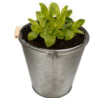 Emmer/plantenpot/bloempot - zink - donkergrijs - D28 x H27 cm - thumbnail