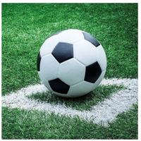 Voetbal thema servetten - 20x - 33 x 33 cm - 3-laags papier - feestservetten Voetbal thema servetten - 20x - 33 x 33 cm - 3-laags papier - feestservetten