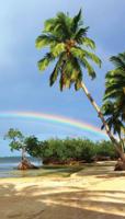 Tropen regenboog 70x130cm Tuinschilderij - Customize it