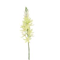 Camassia Kunsttak Creme-groen 61cm