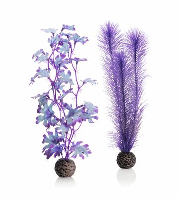 Zeewier set medium paars - Biorb