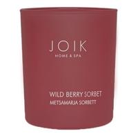 Joik Geurkaars wild berry sorbet vegan