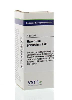 VSM Hypericum perforatum LM6 4 Gram VSM Hypericum perforatum LM6 4 Gram