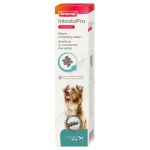 Beaphar IntestoPro Pasta hond vanaf 15 kg 2 x 20 ml