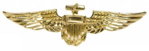 Broche goud Vliegenier