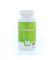 Melaleuca - thumbnail