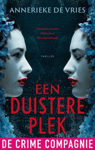 Een duistere plek - Annerieke de Vries - ebook