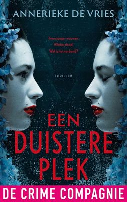 Een duistere plek - Annerieke de Vries - ebook