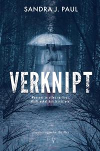 Verknipt (Paperback)