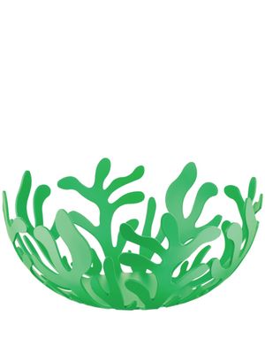 Alessi petit bol à fruits Mediterraneo - Vert