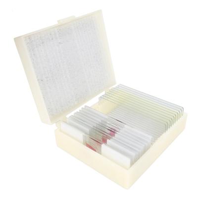 Konus preparaten set bacterieën, simpele organismen (10 stuks)