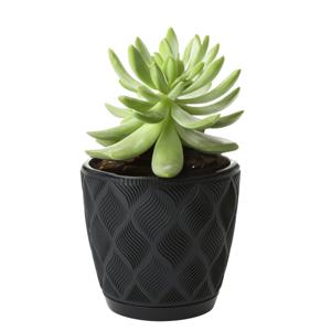 Form Plastic Plantenpot/bloempot New Age - kunststof - zwart - D27 x H24 cm