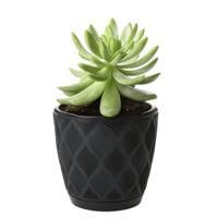 Form Plastic Plantenpot/bloempot New Age - kunststof - zwart - D27 x H24 cm