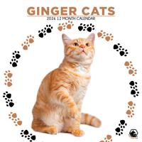 Rode Katten Kalender 2026