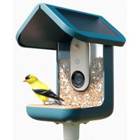 Bird Buddy 2.0 Smart Bird feeder with solar panel OUTLET Bird Buddy 2.0 Smart Bird feeder with solar panel OUTLET