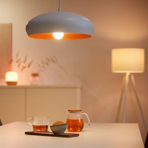 WiZ Smart Lamp 2-pack - Warm tot Koelwit Licht - E27 Mat