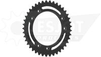 ESJOT Chain wheel 525 45z steel black