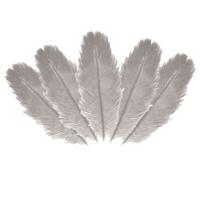 Struisvogelveren/sierveren - 5x - lichtgrijs - 20-25 cm - decoratie/hobbymateriaal