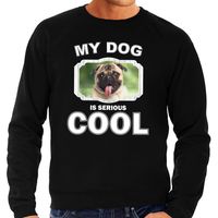 Mopshond honden sweater / trui my dog is serious cool zwart voor heren - thumbnail