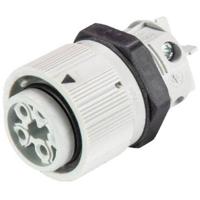 Wieland 46.051.5054.0 Ronde connector Bus, inbouw Totaal aantal polen: 3 + PE Serie (ronde connectoren): RST® MINI 1 stuk(s)