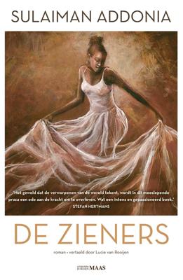 De zieners - Sulaiman Addonia - ebook