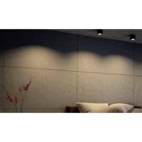 Philips LED Phase Opbouwlamp LED LED vast ingebouwd 4.5 W Warmwit Zwart