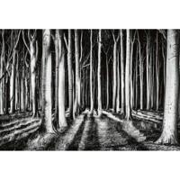 Fotobehang - Ghost Forest 384x260cm - Vliesbehang - thumbnail