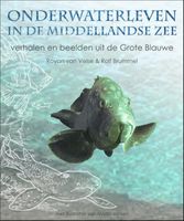 Natuurgids Onderwaterleven in de Middellandse zee | Ecritures - thumbnail